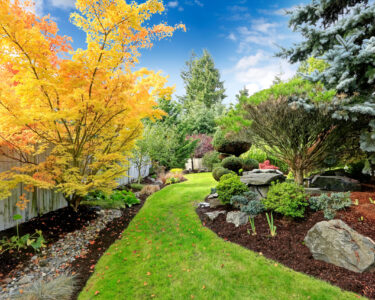 Beautiful backyard landscape design. View of colorful trees and decorative trimmed bushes and rocks